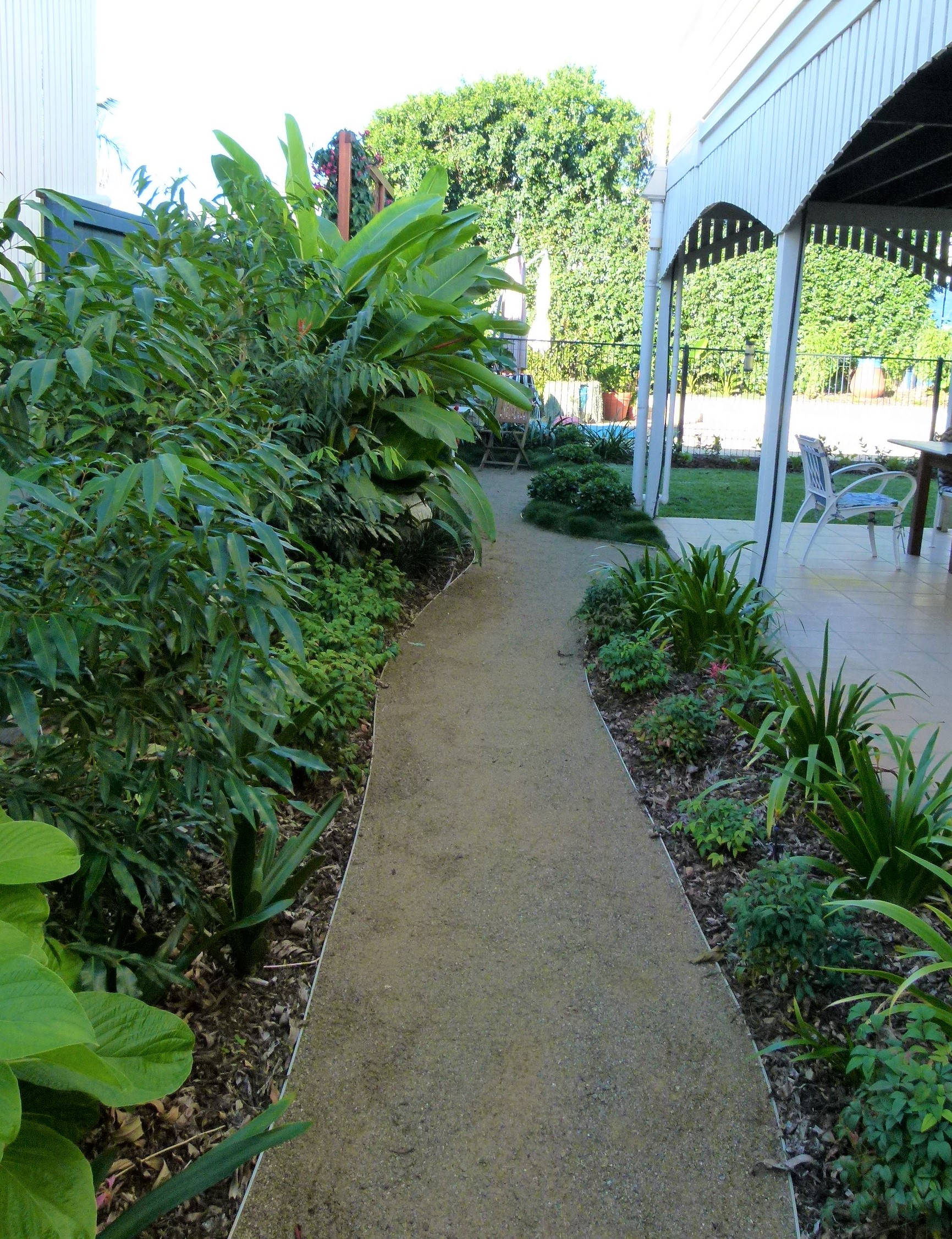Brisbane-small-garden-design-Clare-James-Landscape-Design