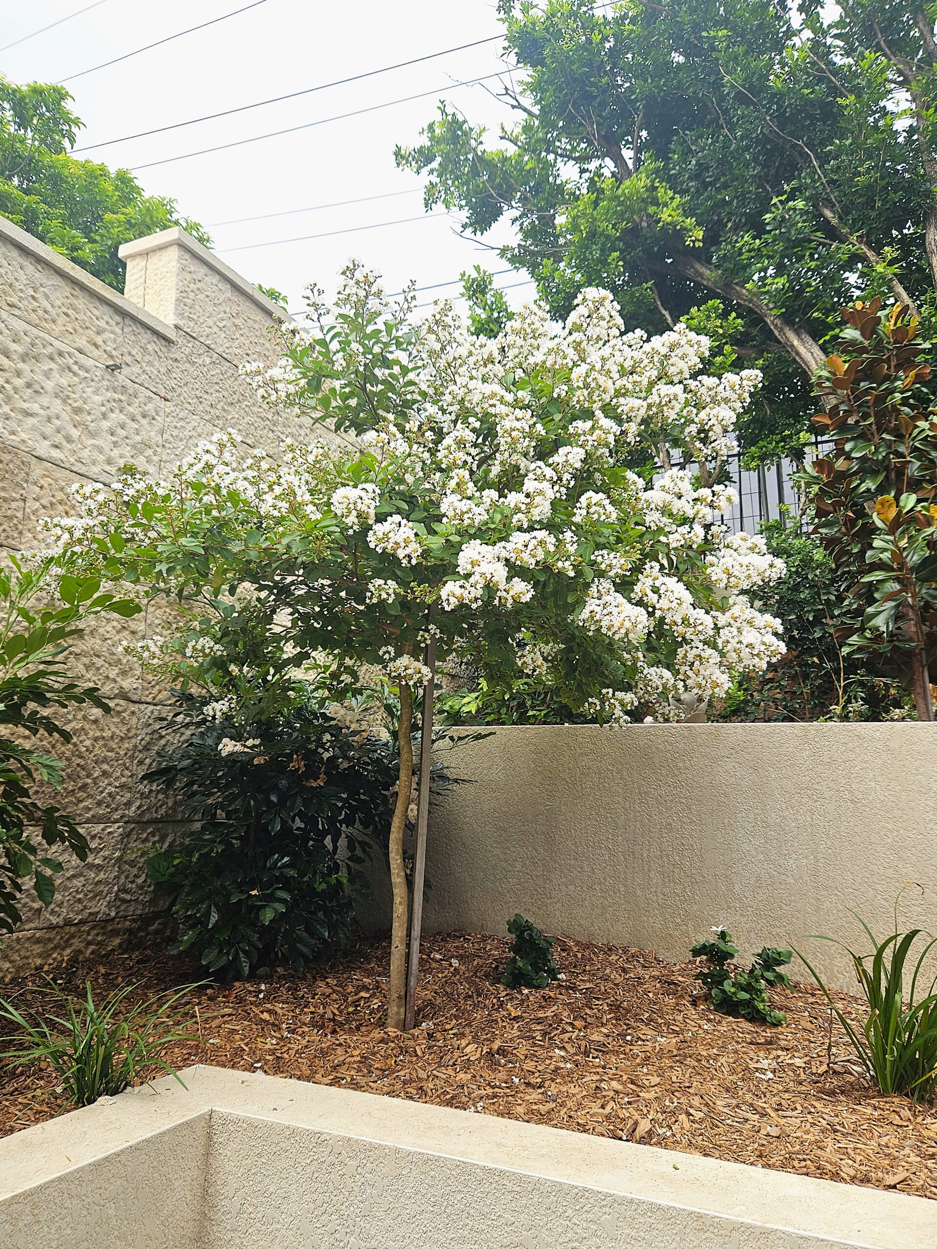 garden-design-ideas-brisbane