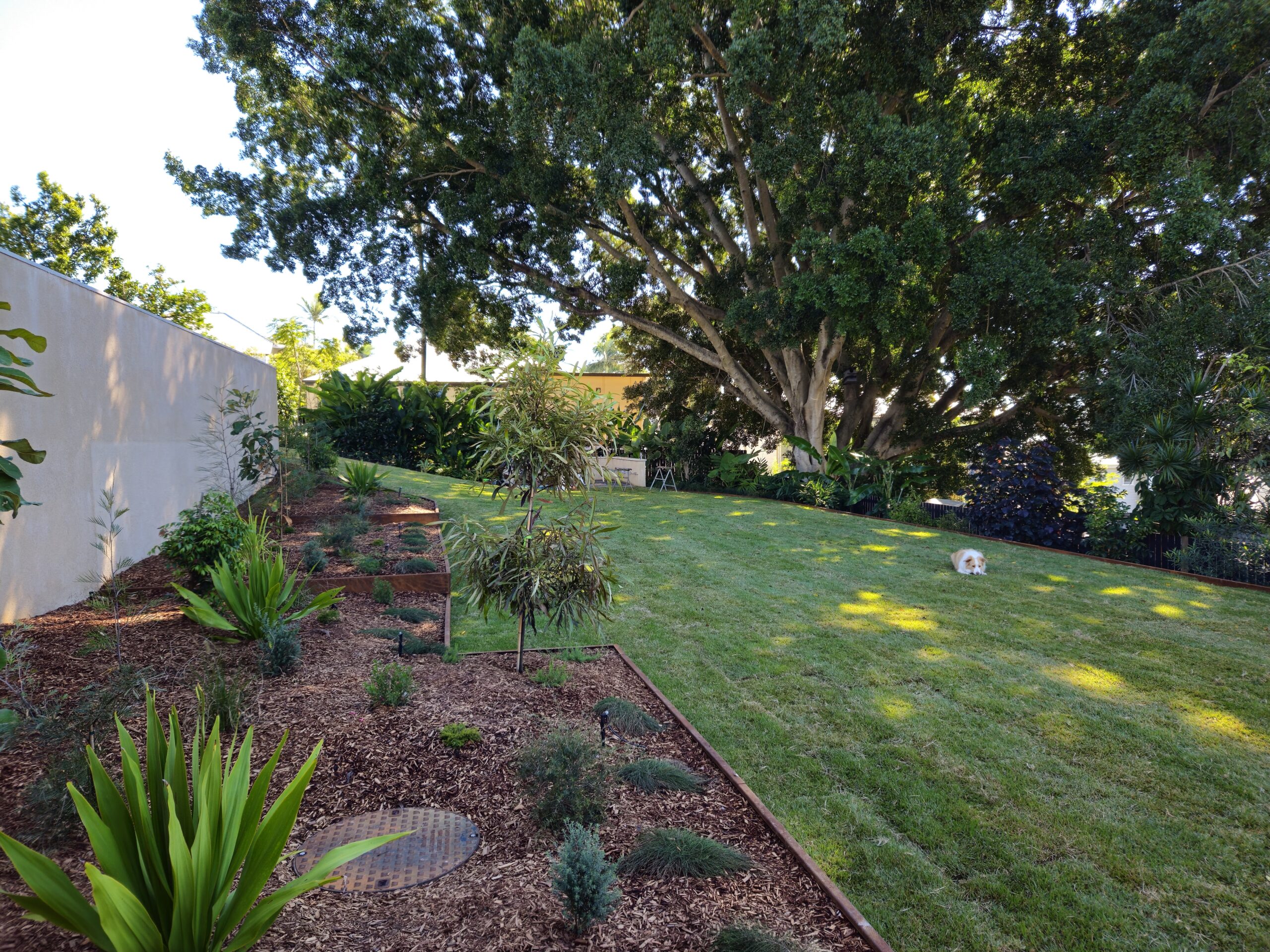 lush-living-landscape-graceville